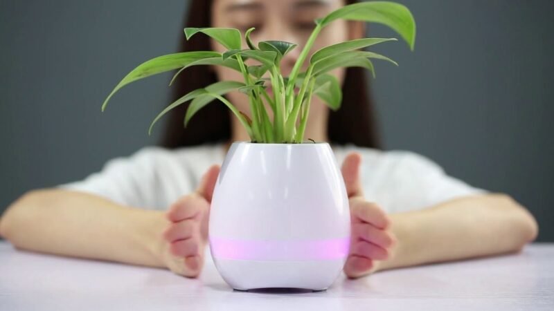 Matera Parlante Bluetooth